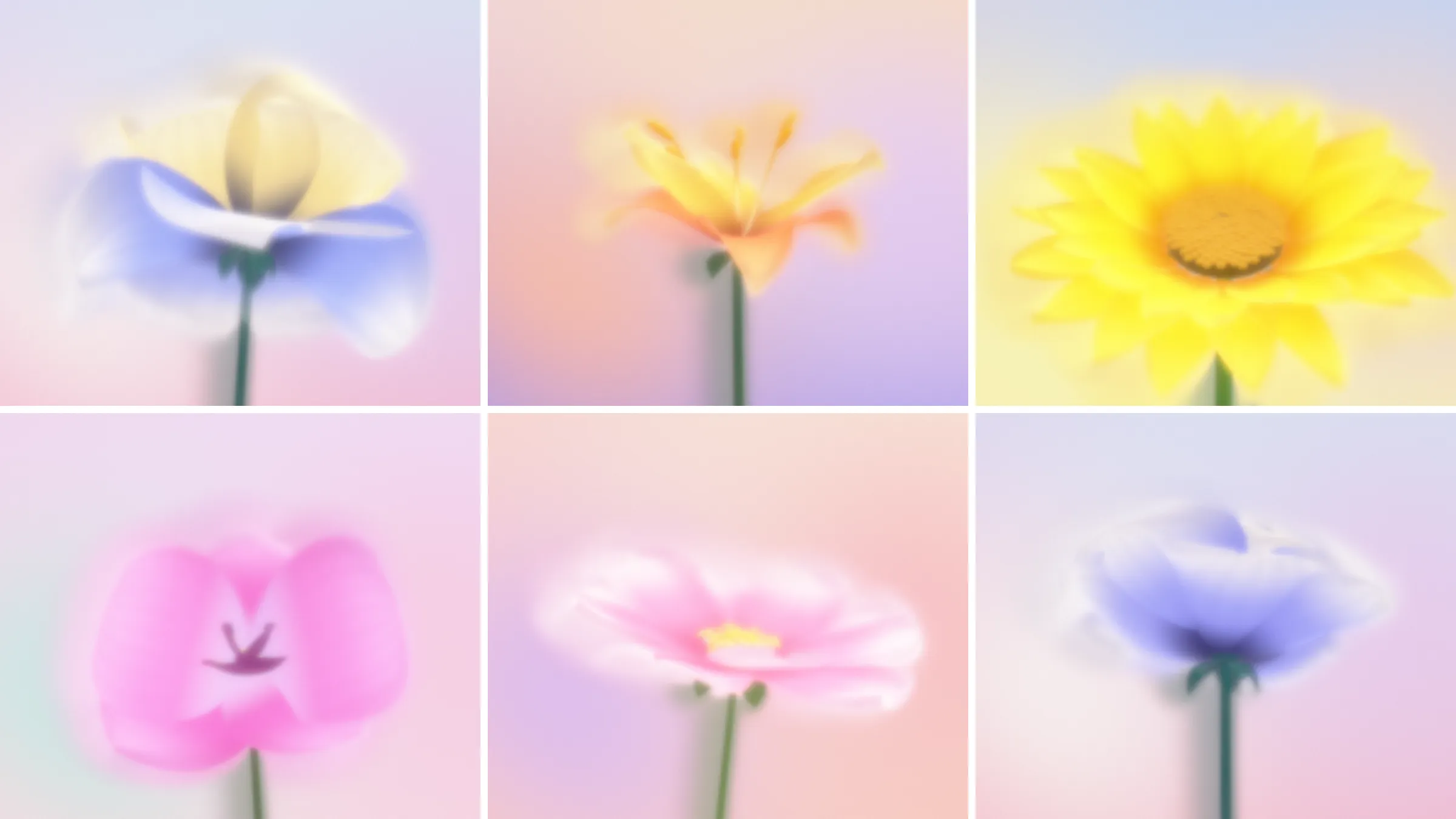 Six of the flowers, each on its own pastel backdrop: a cream and blue poppy, a yellow lily, a sunflower, a pink orchid, a pink cosmos and a lavender peony