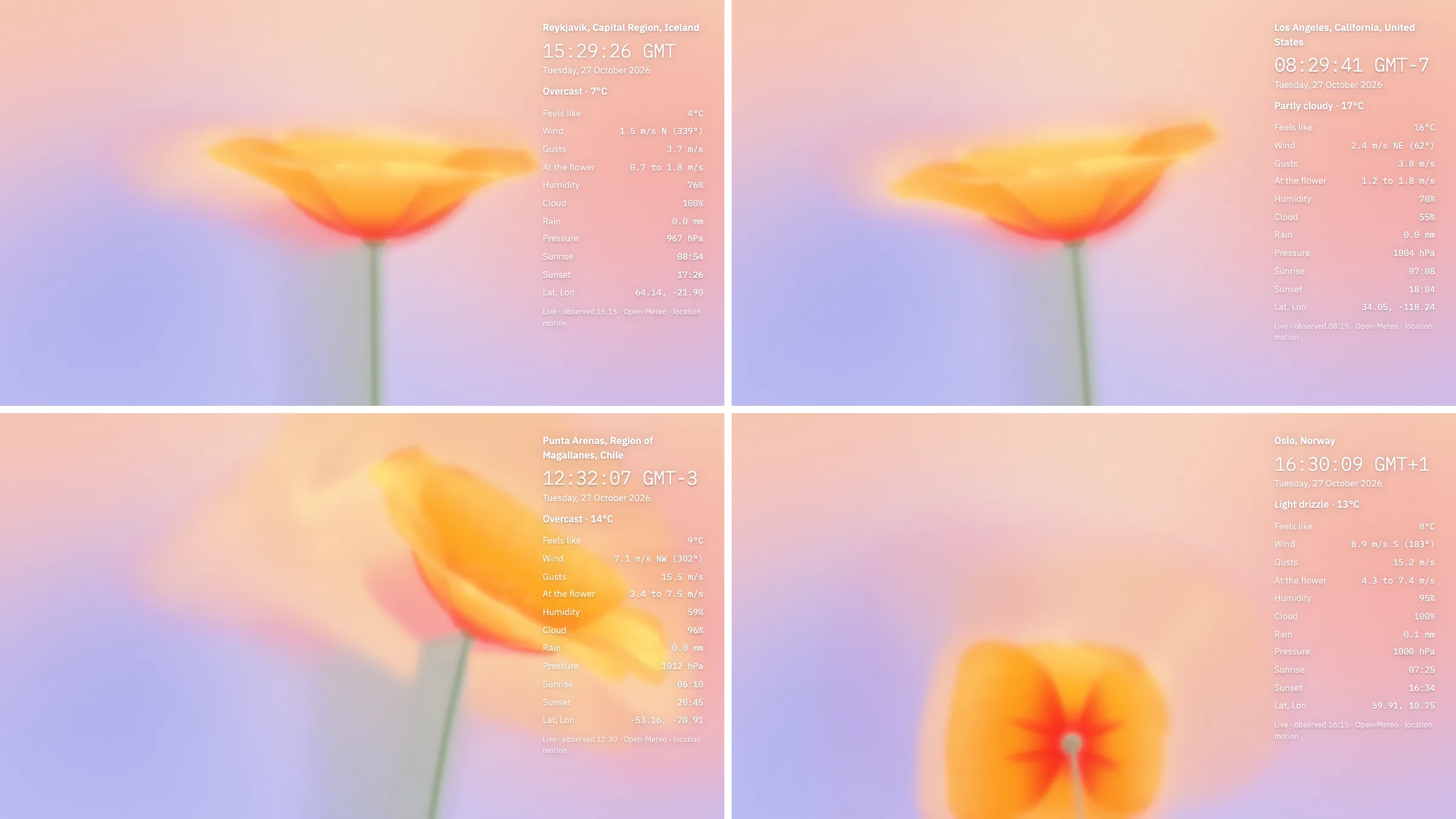 The same orange California poppy in four places, each with its data panel: upright in Reykjavik at 1.5 m/s and in Los Angeles at 2.4 m/s, bent hard to one side in Punta Arenas at 7.1 m/s with gusts of 15.5, and blown over to face the lens in Oslo at 8.9 m/s